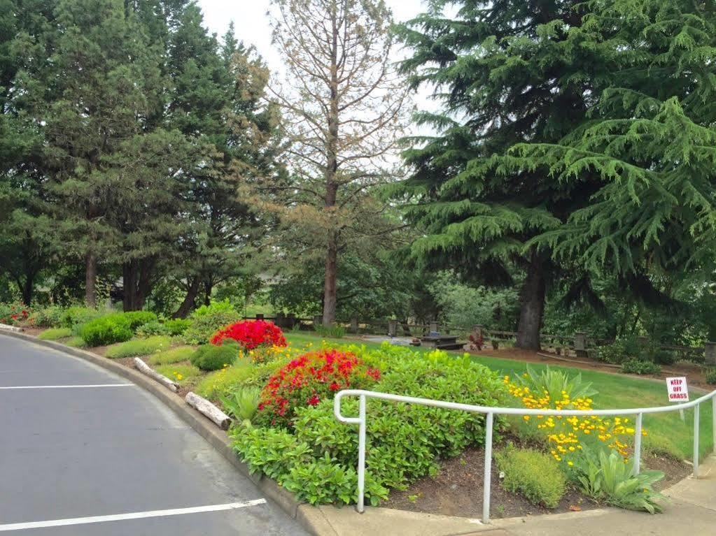 Riverfront Inn Роузберг Экстерьер фото